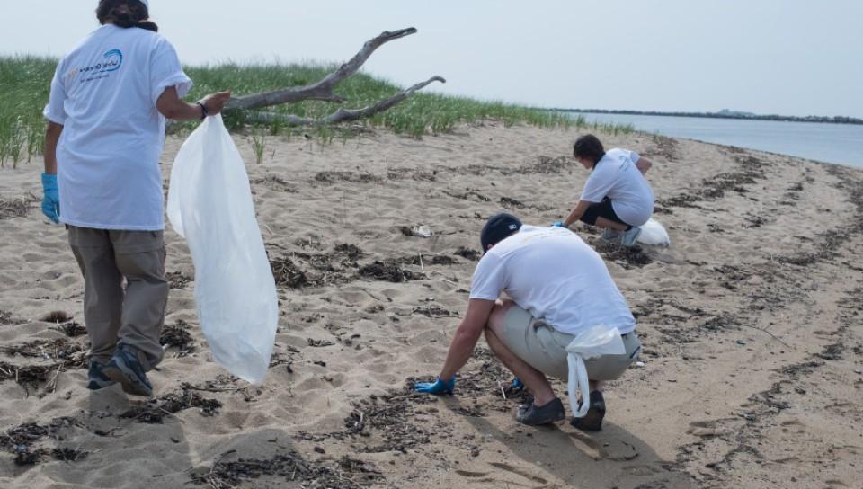 东北大学的学生们参加了海岸清理活动，清理弗雷迪海滩上的垃圾