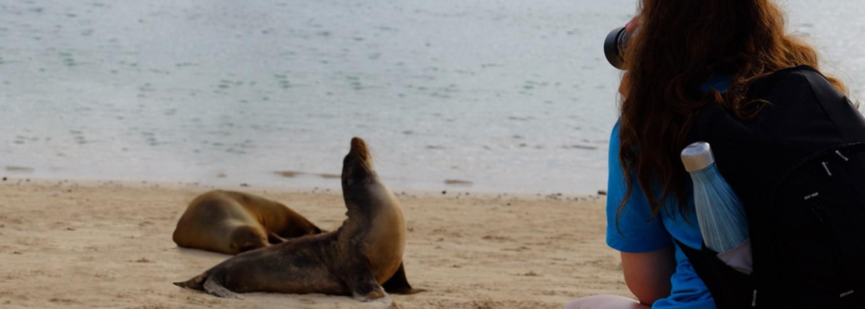 Dominique Mellone站在加拉帕戈斯群岛的海滩上，给远处的两只海豹拍照