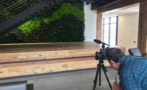 NEWS CENTER Maine videographer frames shot of living green wall