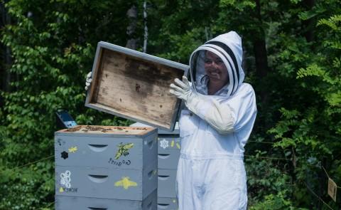 Elissa Kane '19 tends to UNE's honey bee hives as part of her summer internship with the University's Office of 可持续性. 